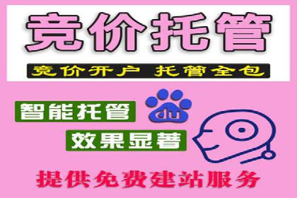 谷歌竞价广告的出价策略及某公司实践案例